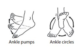 ankle exercises 1.png